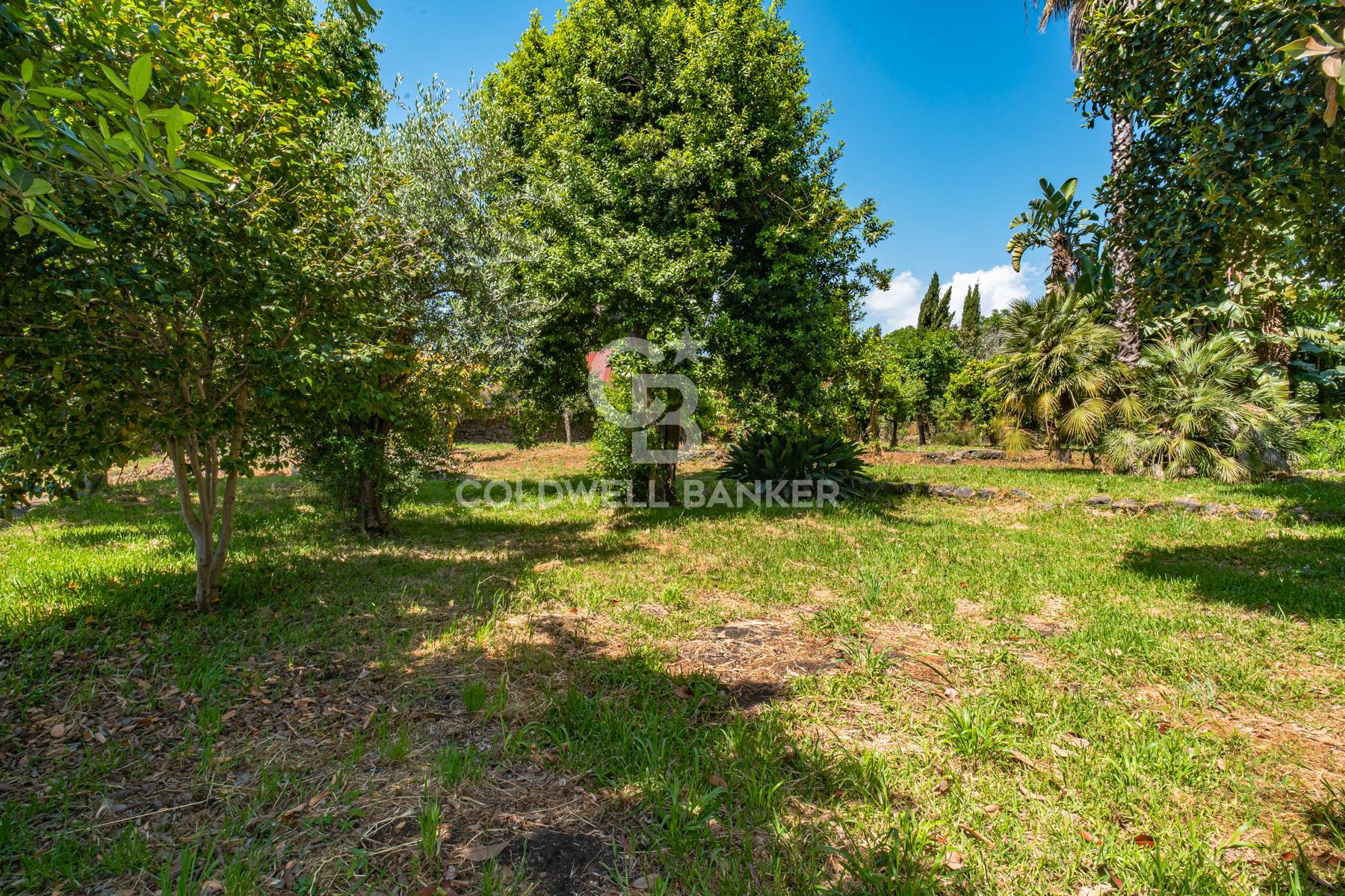 Villa in vendita a Acireale (CT)