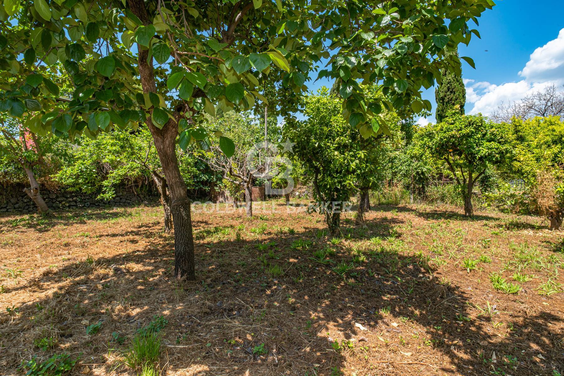 Villa in vendita a Acireale (CT)