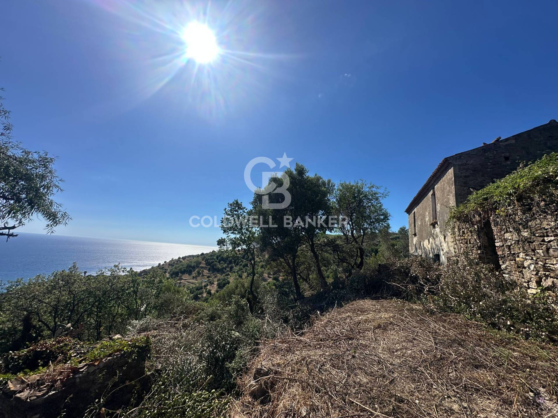 Rustico/Casale/Corte in vendita a Pollica