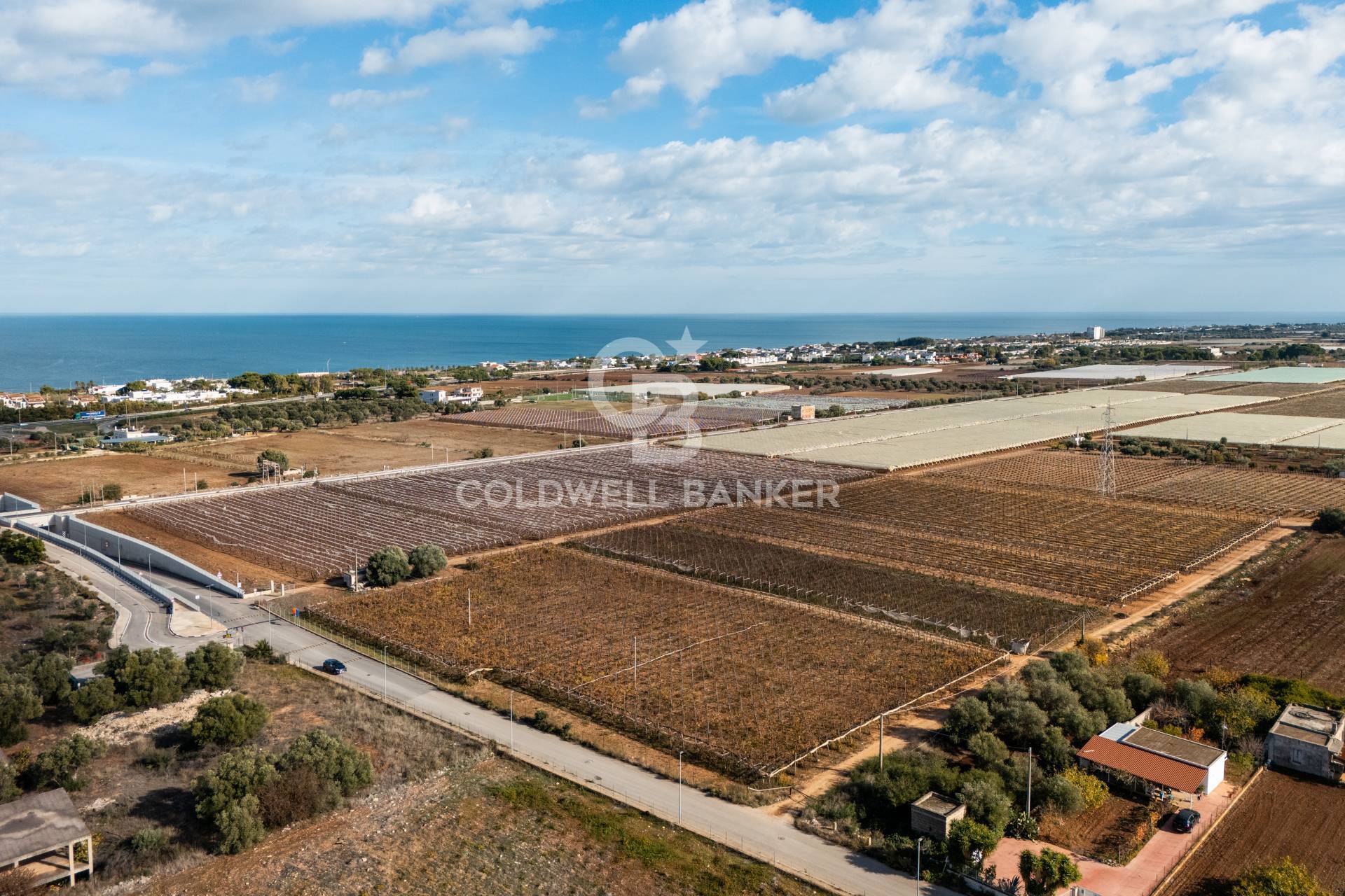 Coldwell Banker Gruppo Bodini