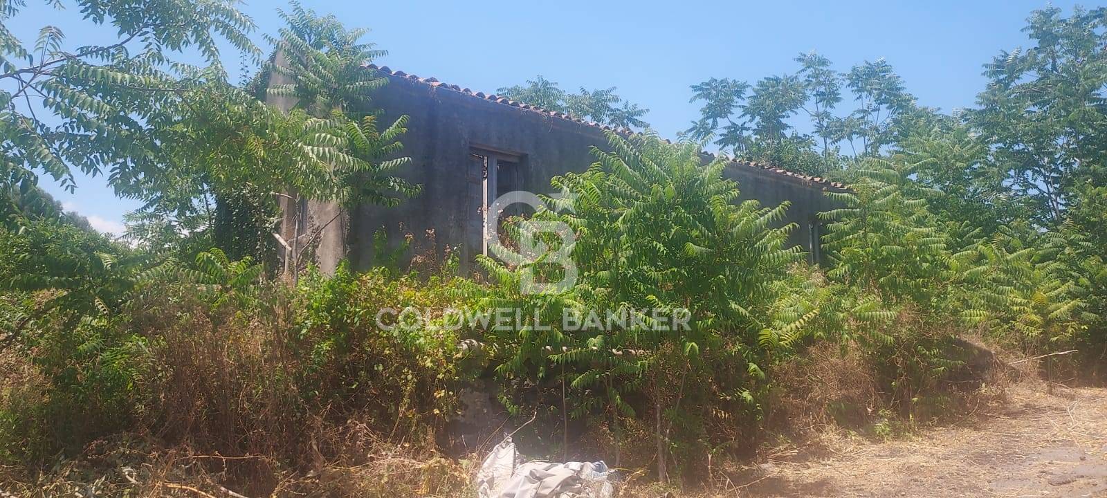 Coldwell Banker Arteka Group