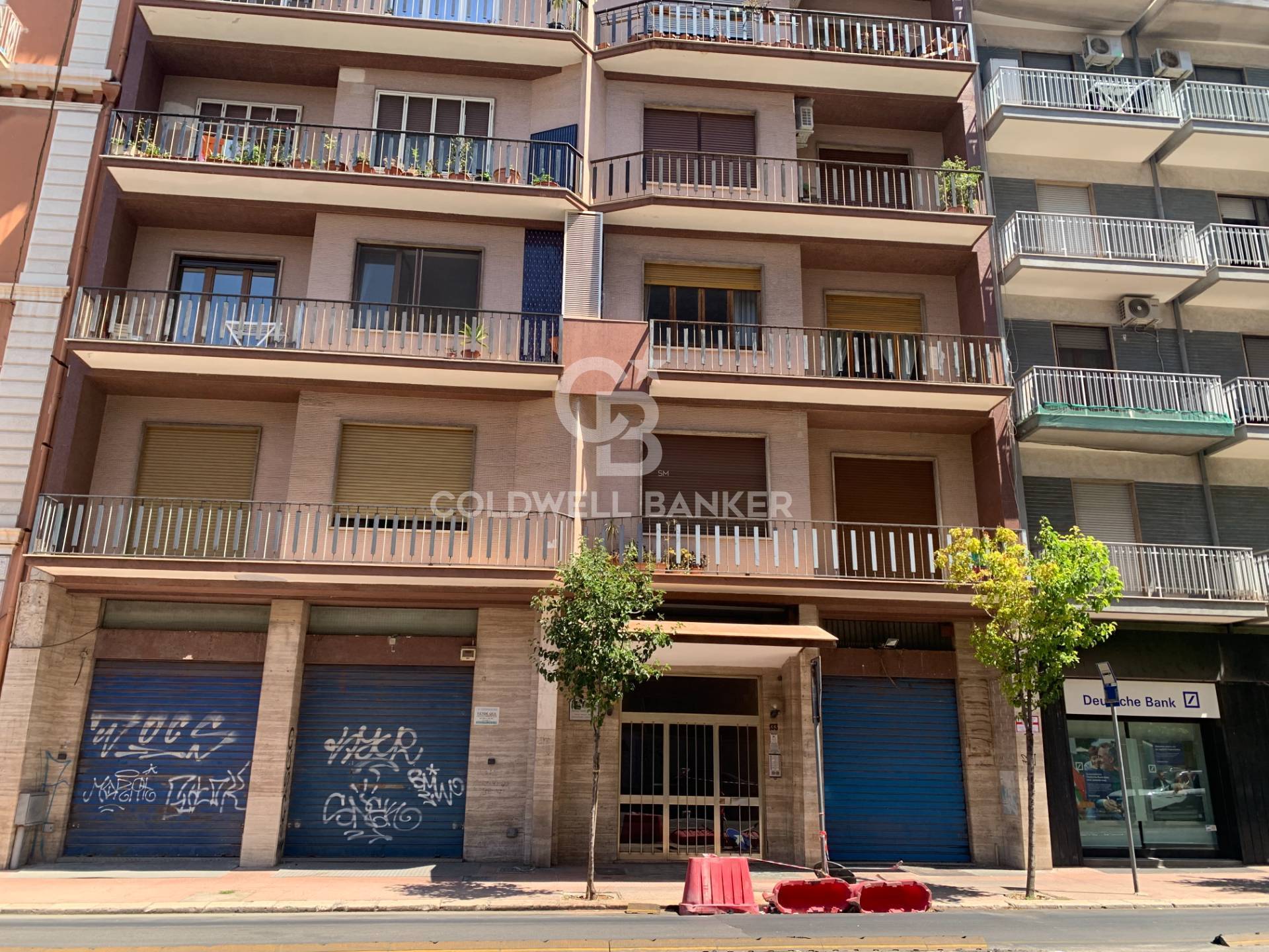 Immagine della Galleria