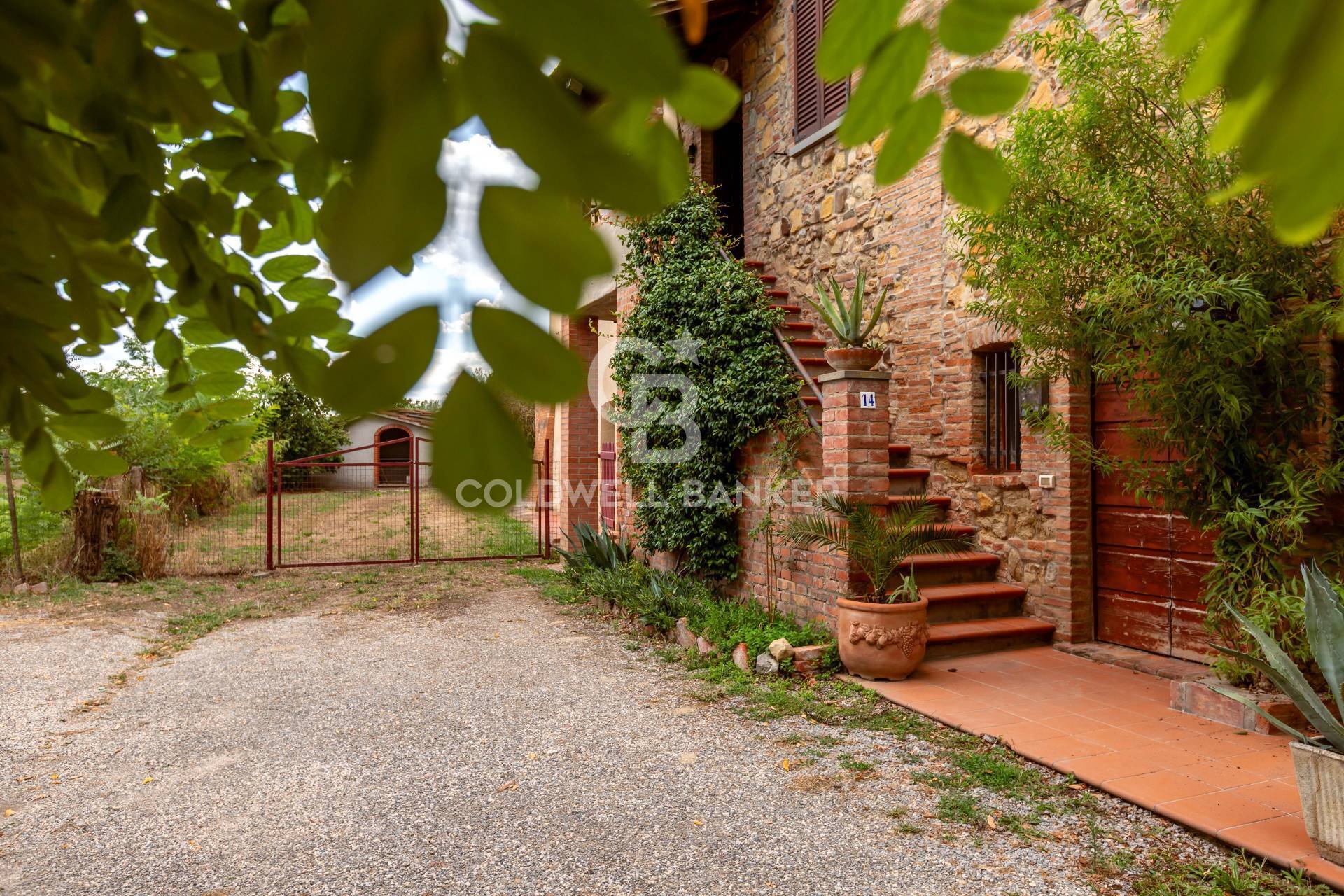 Immagine della Galleria
