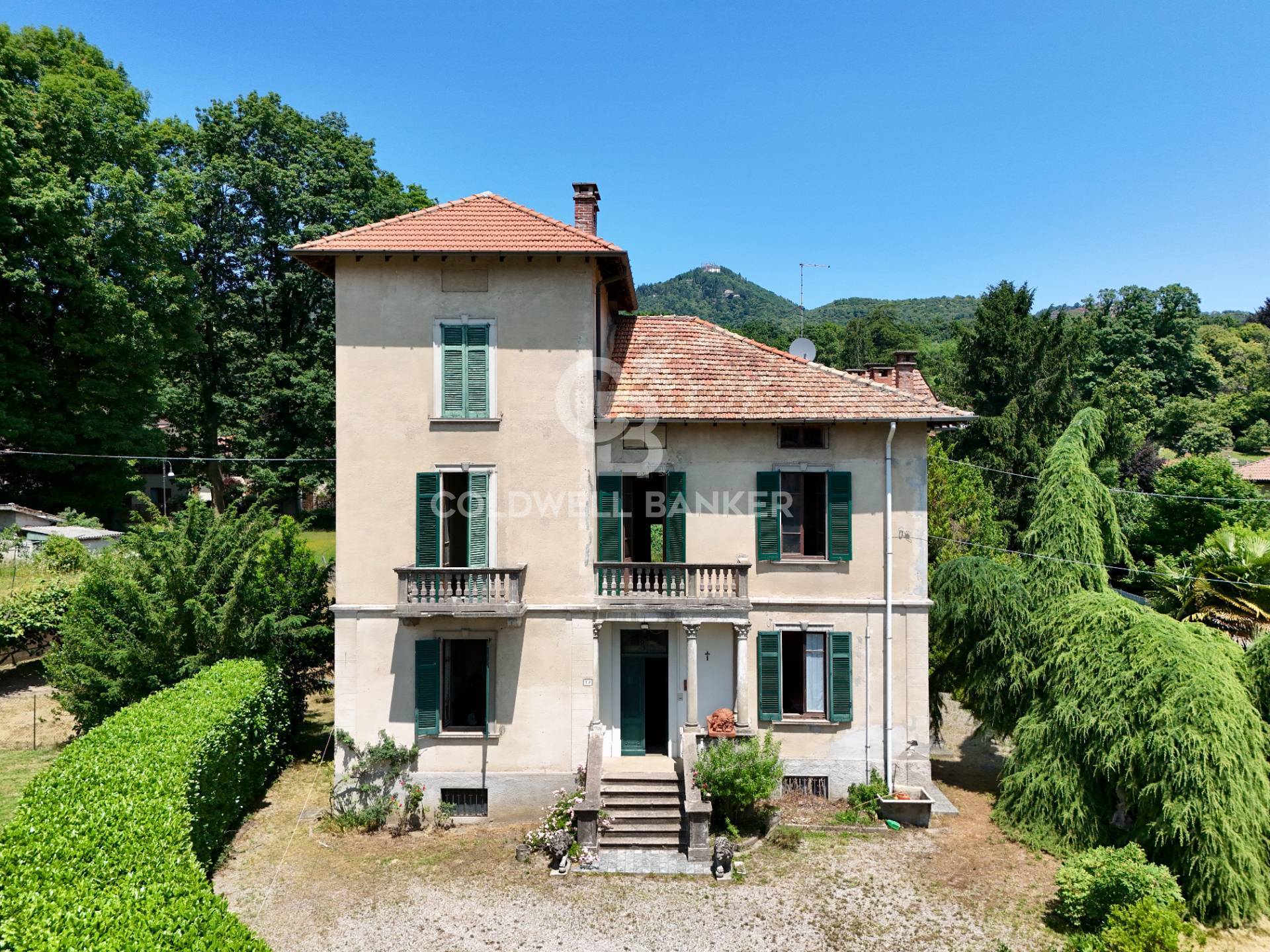 Immagine della Galleria
