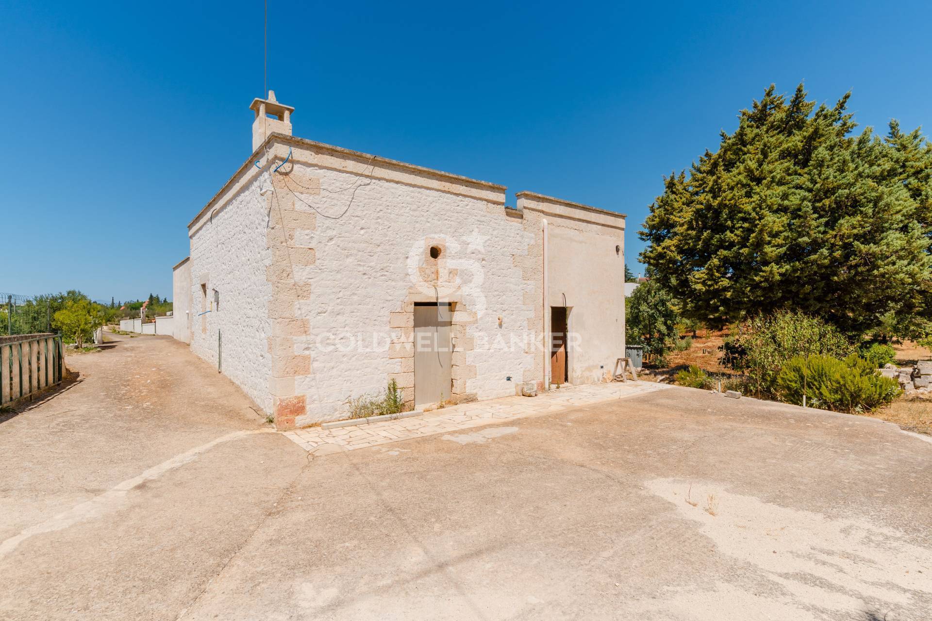 Immagine della Galleria