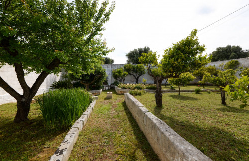 Rustico in vendita a Ostuni (BR)