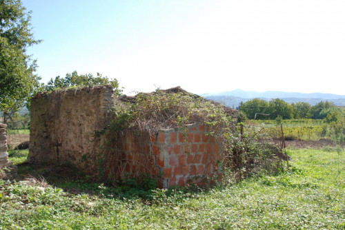 Rustico in vendita a Casal Velino (SA)