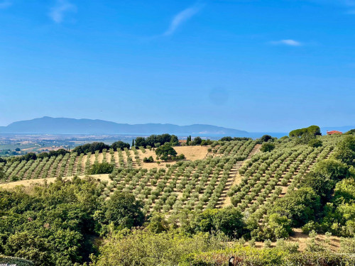 Villa in vendita a Magliano In Toscana (GR)