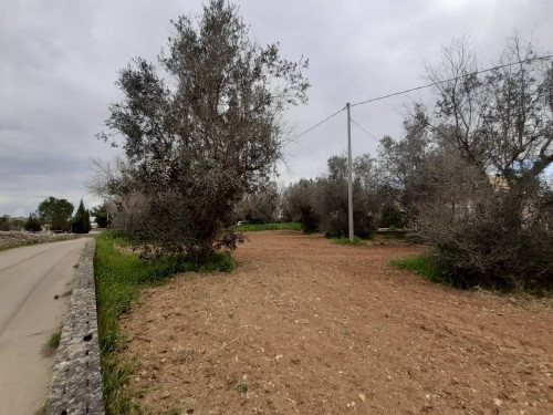 Agricultural Land for sale in Aradeo