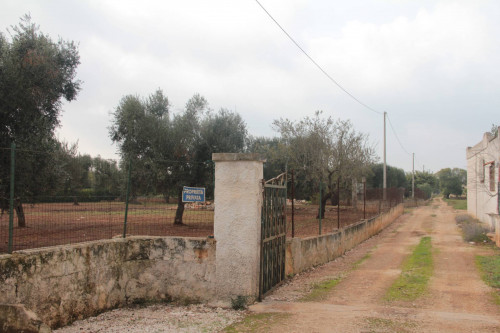 Terreno agricolo in vendita a San Vito Dei Normanni (BR)