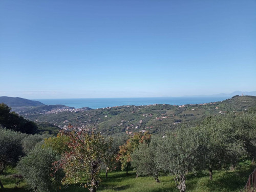 Indipendent house for sale in Ogliastro Cilento