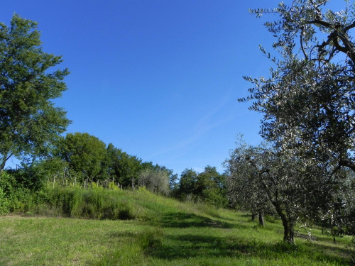 Terreno Edificabile in vendita a Puegnago sul Garda