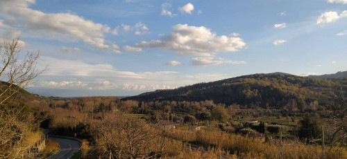 Casa indipendente in vendita a Torre Orsaia (SA)