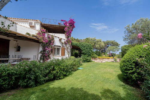 Villa in affitto a Arzachena