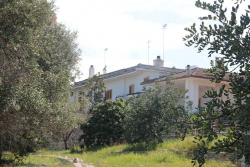 Villa in vendita a Fasano (BR)