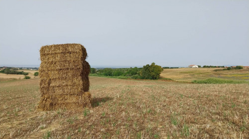 Rustico in vendita a Tarquinia (VT)