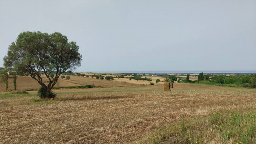 Rustico in vendita a Tarquinia (VT)