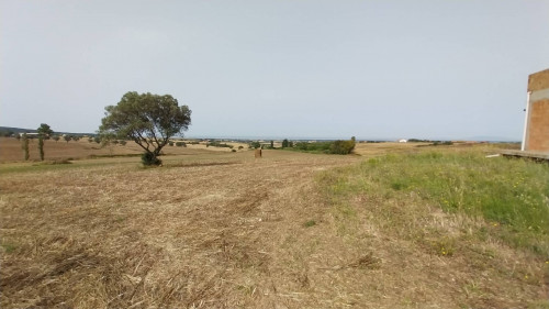 Rustico in vendita a Tarquinia (VT)