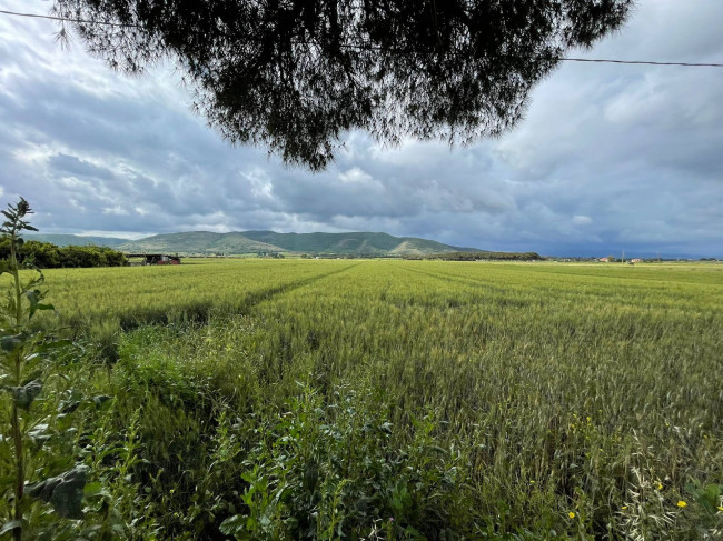 Terreno agricolo in vendita a Orbetello (GR)