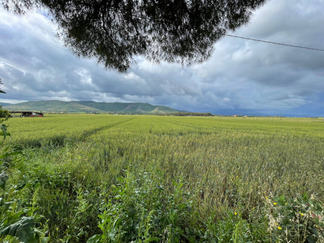 Terreno agricolo in vendita a Orbetello (GR)