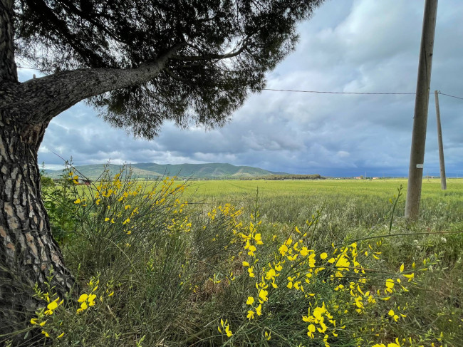 Terreno agricolo in vendita a Orbetello (GR)