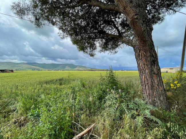 Terreno agricolo in vendita a Orbetello (GR)