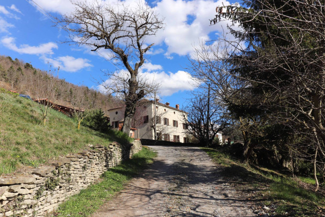 Casa semi-indipendente in vendita a Somano (CN)