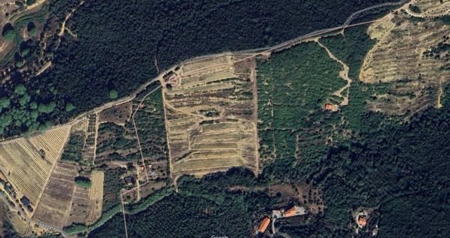 Terreno agricolo in vendita a Porto Azzurro (LI)