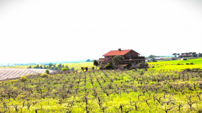 Terreno agricolo in vendita a Casalazzara, Aprilia (LT)