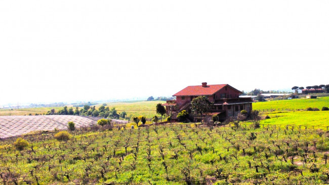 Terreno agricolo in vendita a Casalazzara, Aprilia (LT)