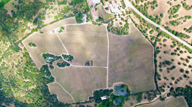 Azienda Agricola in vendita a Olbia