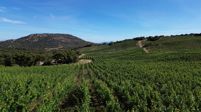 Azienda Agricola in vendita a Olbia