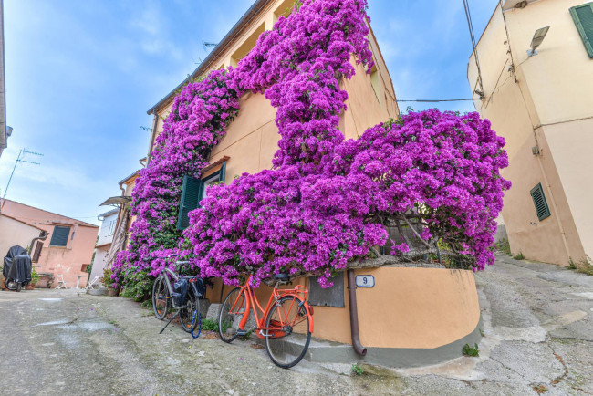 Appartamento in vendita a Campo Nell'elba (LI)