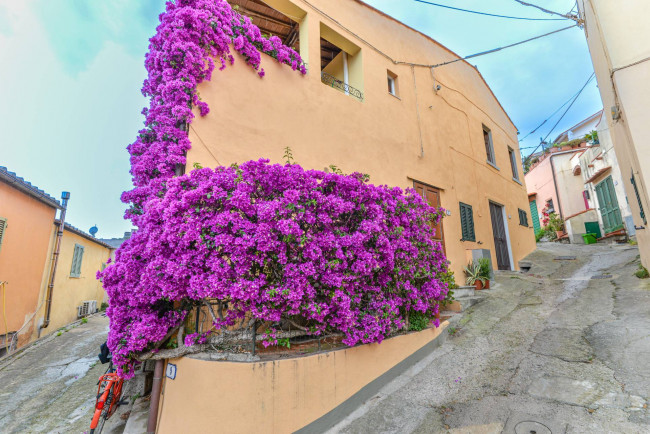 Appartamento in vendita a Campo Nell'elba (LI)