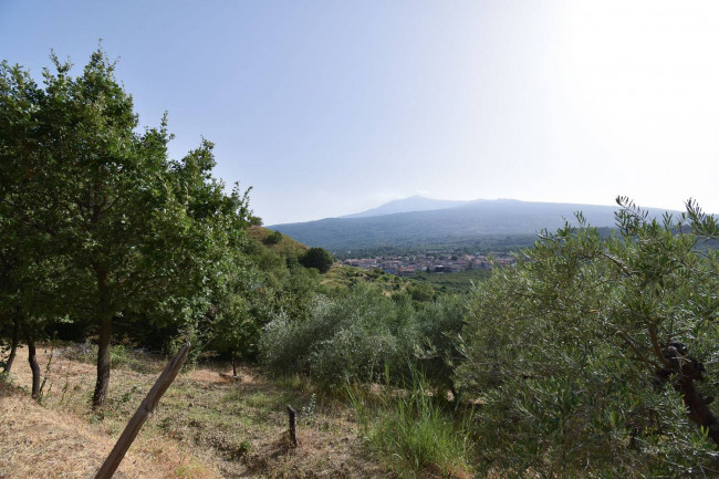 Terreno agricolo in vendita a Linguaglossa (CT)