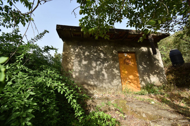 Terreno agricolo in vendita a Linguaglossa (CT)