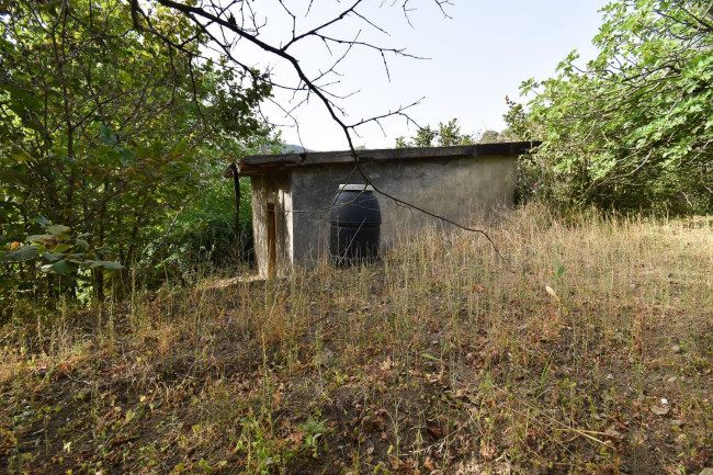 Terreno agricolo in vendita a Linguaglossa (CT)