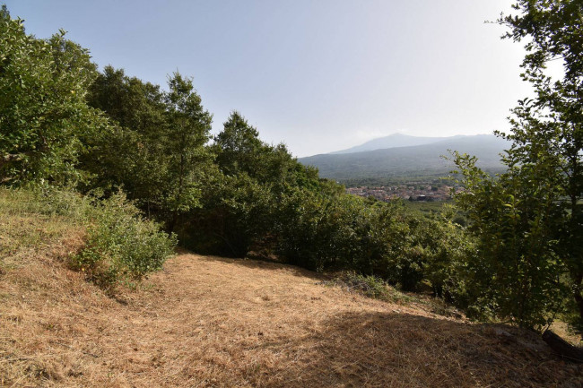 Terreno agricolo in vendita a Linguaglossa (CT)