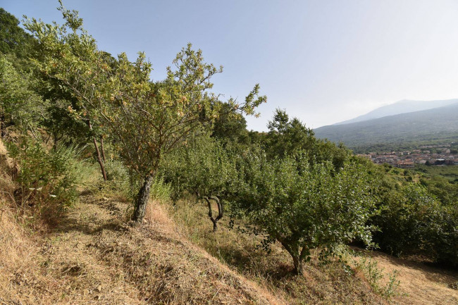 Terreno agricolo in vendita a Linguaglossa (CT)