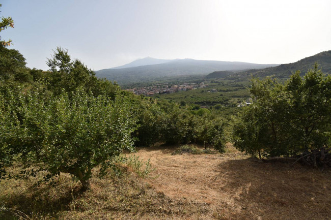 Terreno agricolo in vendita a Linguaglossa (CT)