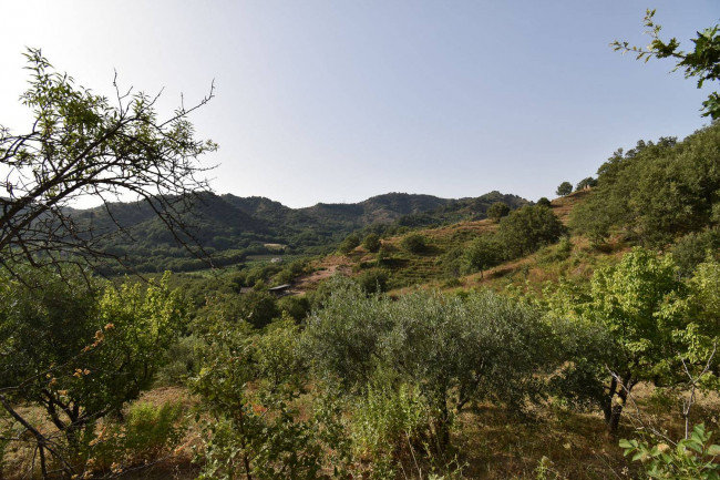 Terreno agricolo in vendita a Linguaglossa (CT)