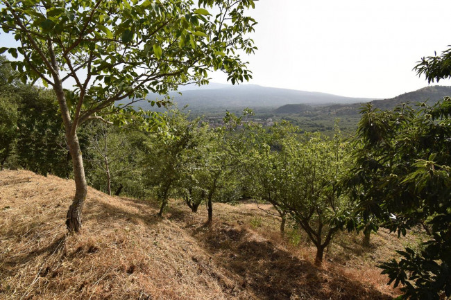 Terreno agricolo in vendita a Linguaglossa (CT)