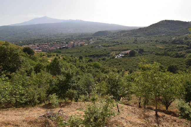 Terreno agricolo in vendita a Linguaglossa (CT)