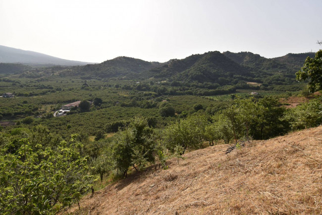 Terreno agricolo in vendita a Linguaglossa (CT)