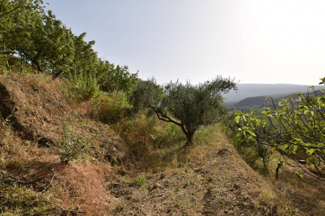 Terreno agricolo in vendita a Linguaglossa (CT)