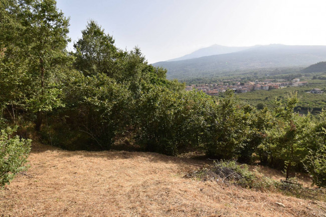 Terreno agricolo in vendita a Linguaglossa (CT)