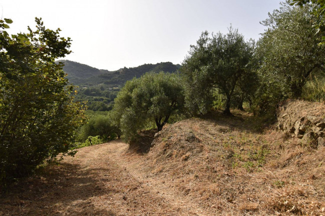 Terreno agricolo in vendita a Linguaglossa (CT)