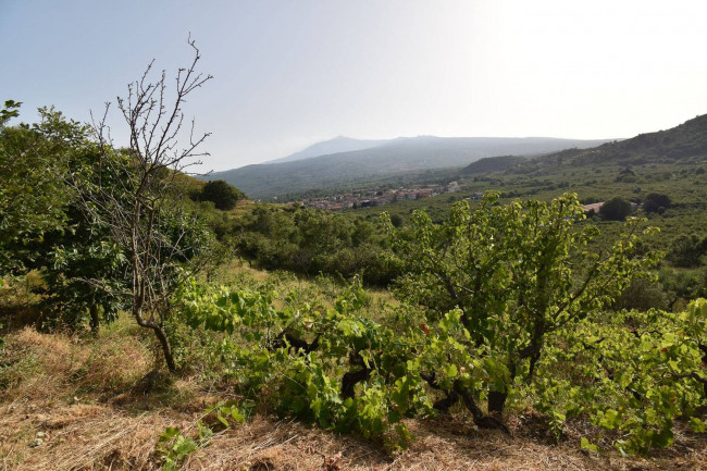 Terreno agricolo in vendita a Linguaglossa (CT)