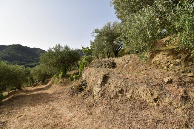 Terreno agricolo in vendita a Linguaglossa (CT)