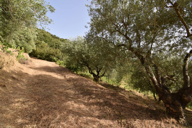 Terreno agricolo in vendita a Linguaglossa (CT)